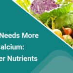 A Healthy Bone Needs More Than Just Calcium: The Role of Other Nutrients