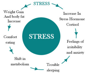 Stress-2